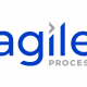 AgileProcess
